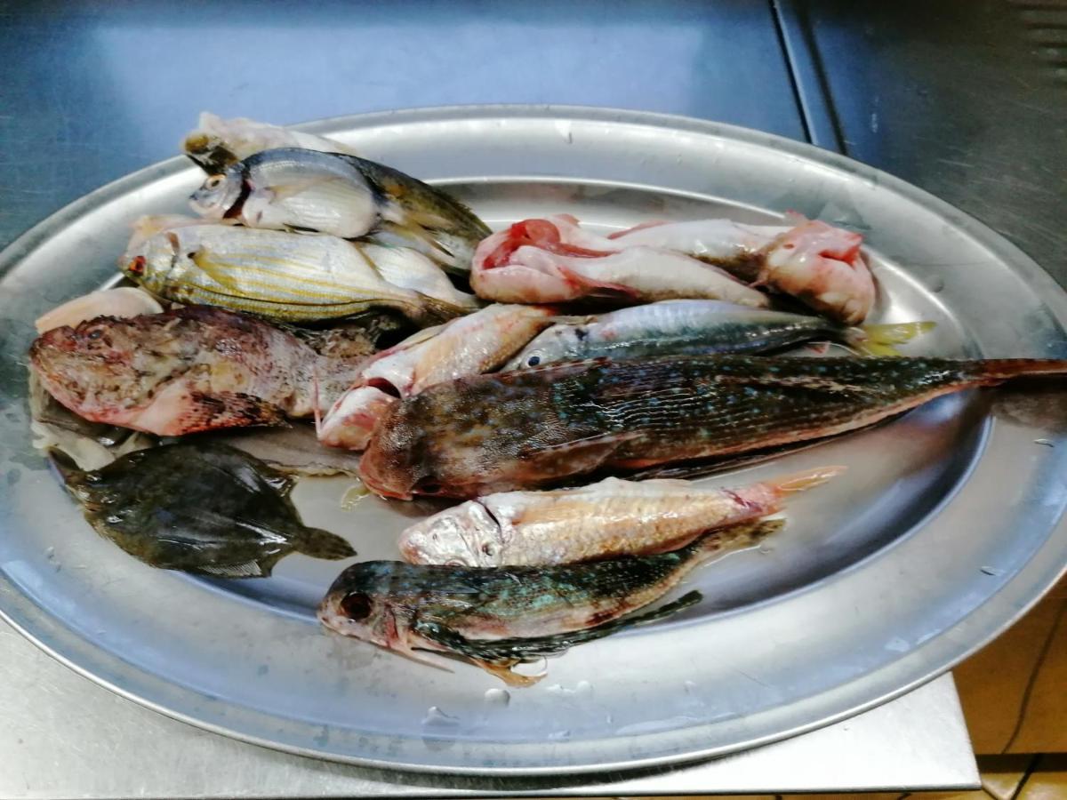 Hotel Posidonia ซาปรี ภายนอก รูปภาพ